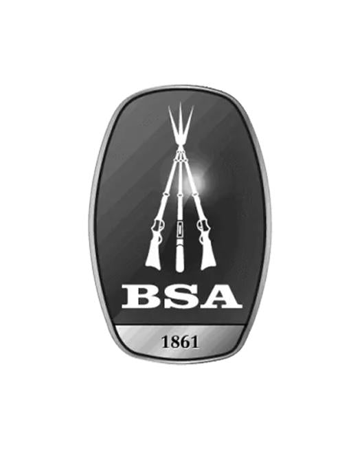 BSA